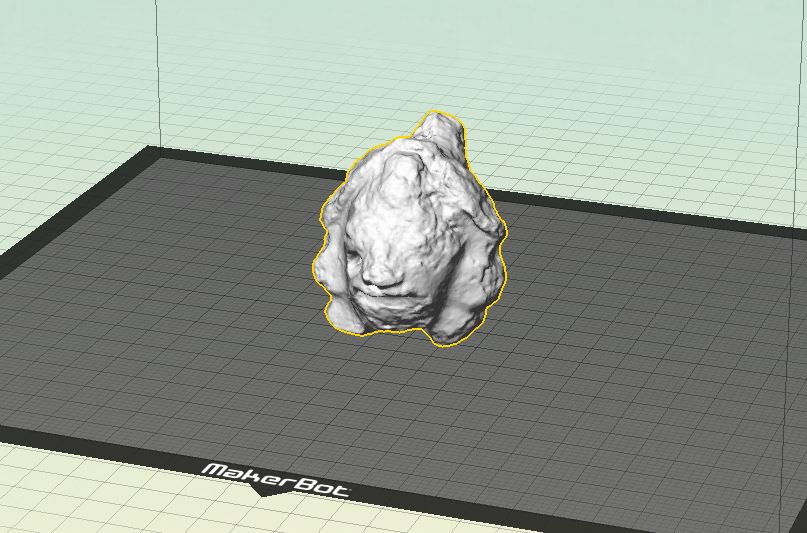 Image of 3D scan in the 3D printing software