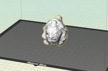 Image of 3D scan in the 3D printing software