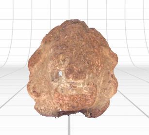 Image of 3D scan of artifact