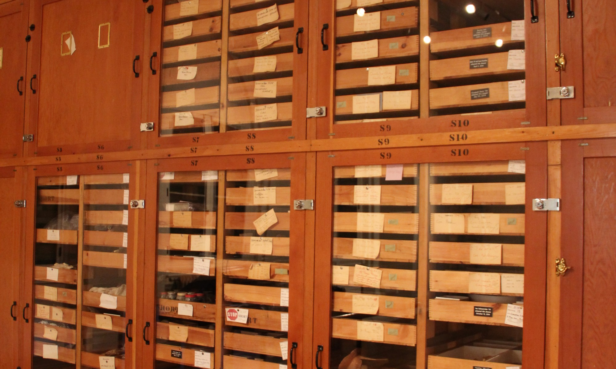 Collections with new plexi-glass doors