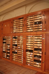 Collections with new plexi-glass doors