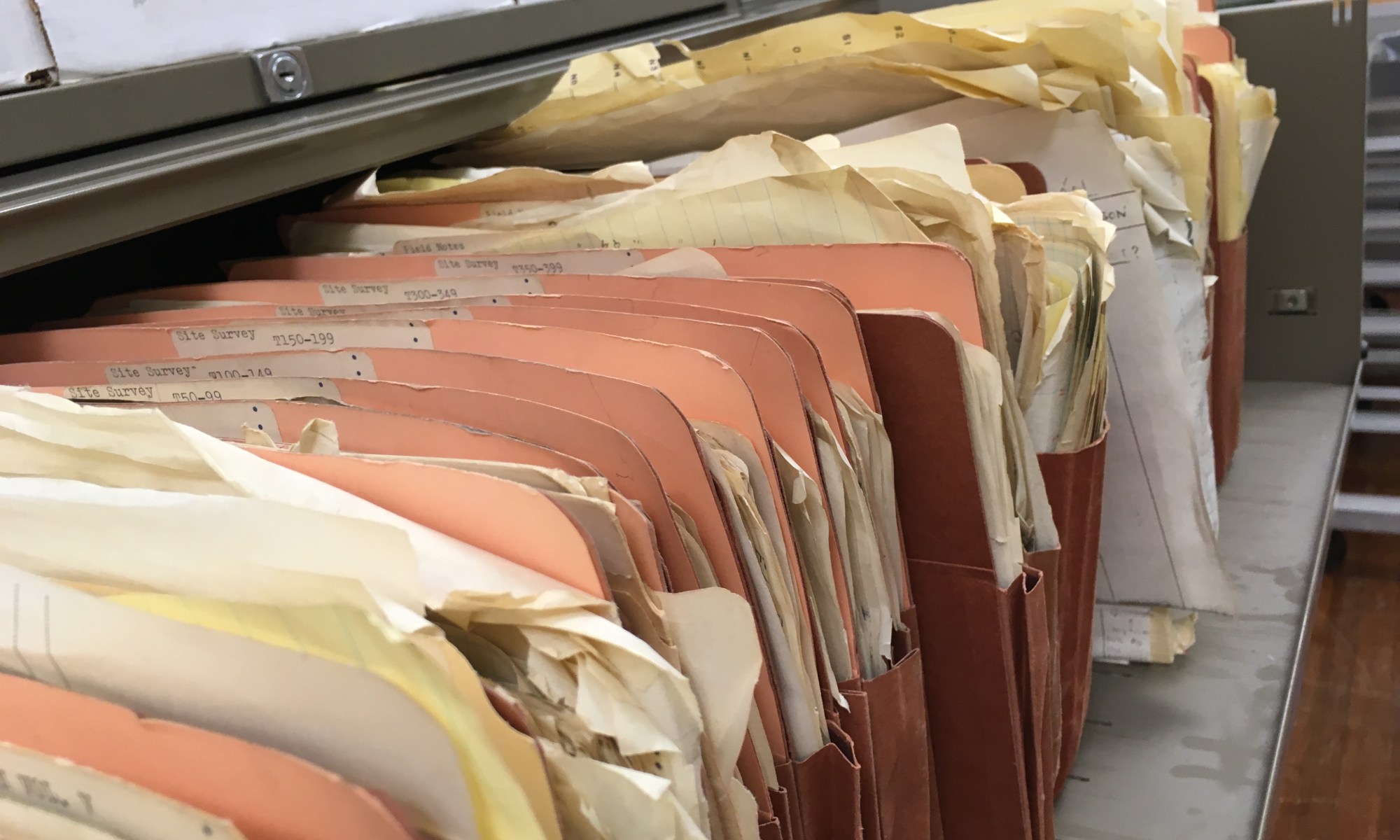 Folders full of Scotty MacNeish's Tehuacan survey records from the 1960s