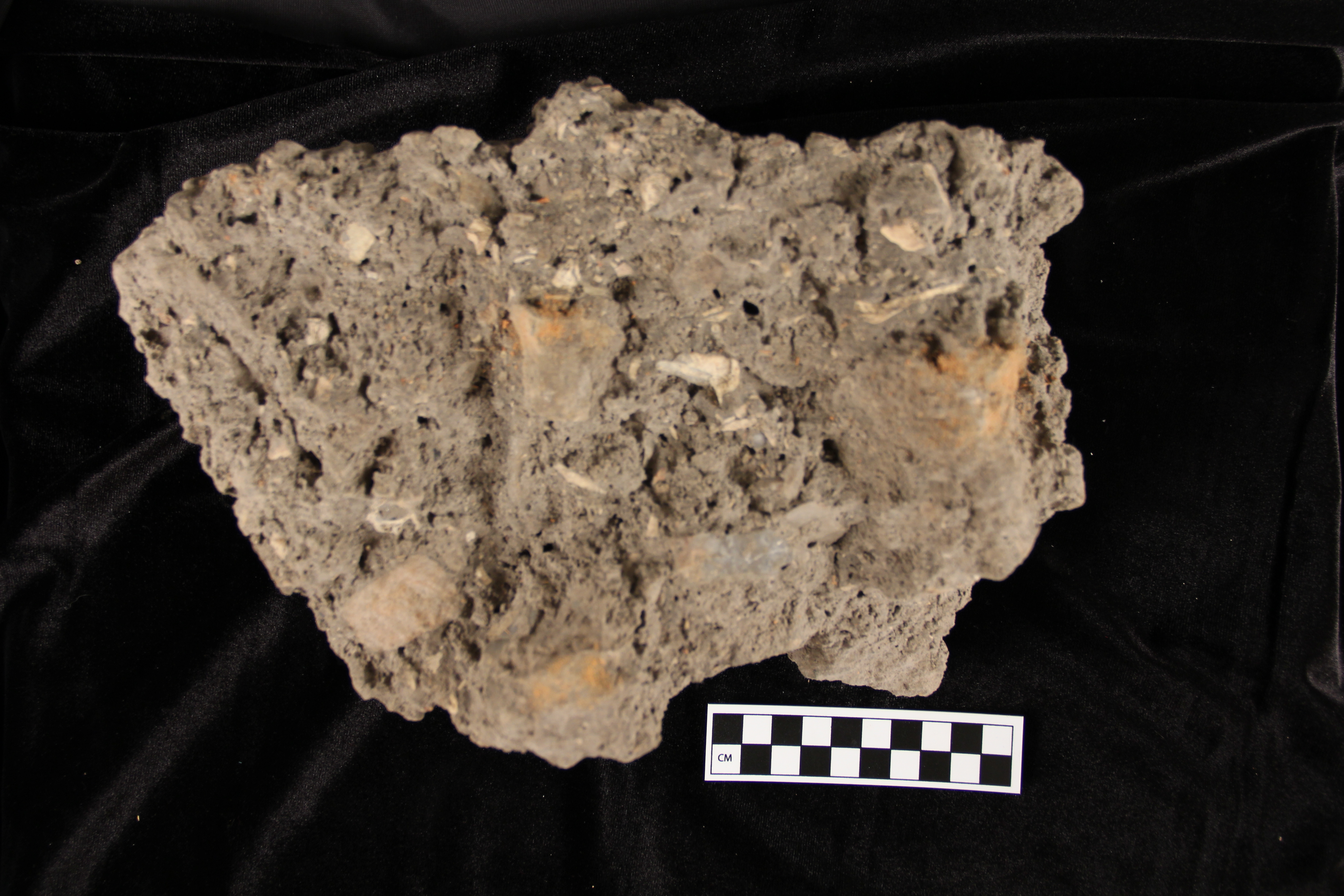 Breccia from Jacob's Cavern