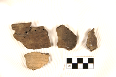 Four pottery pieces from the Von Mach Shell Heap collection at the Peabody Museum.