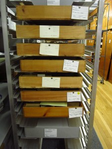 Drawers pulled for research