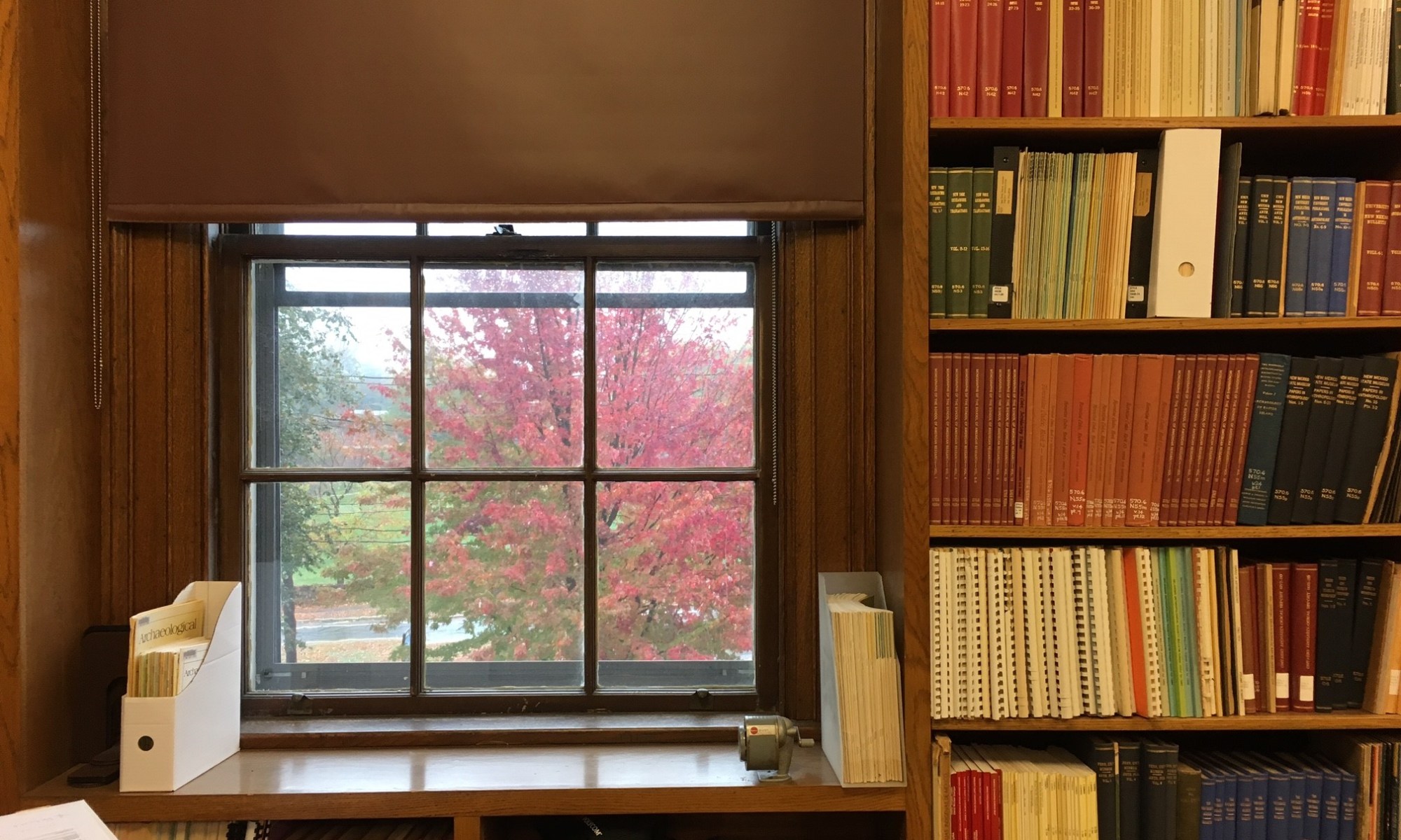 A color photograph of the Peabody's library and a window looking out onto a red-colored tree outside.