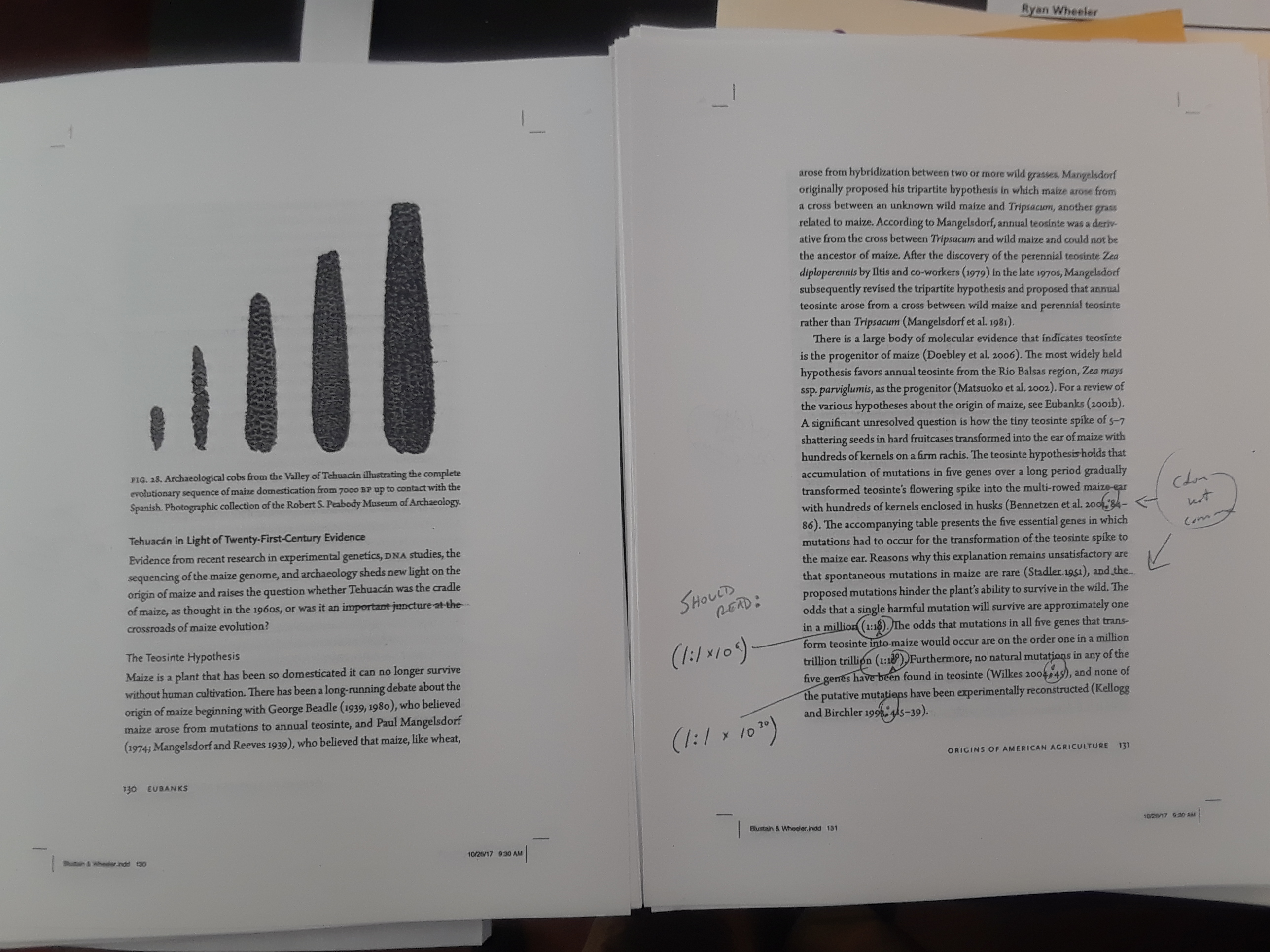 Image of galley proofs showing mark up.