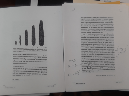 Image of galley proofs showing mark up.