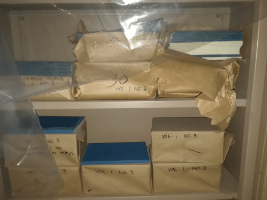 Image of metal shelves holding blue paper-covered books.