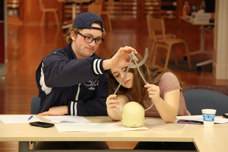 Image of students using calipers to measure skulls.
