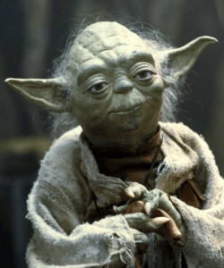 Yoda_Quinn