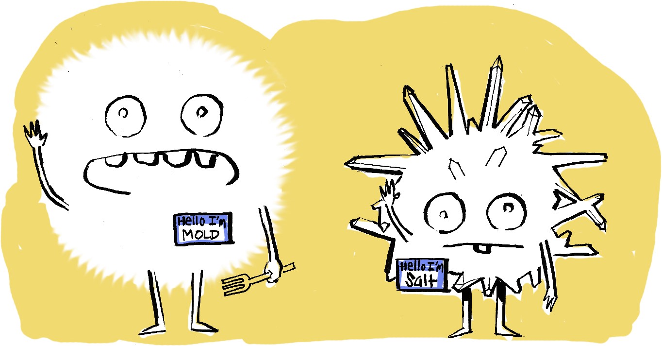 Mold_Salt 1