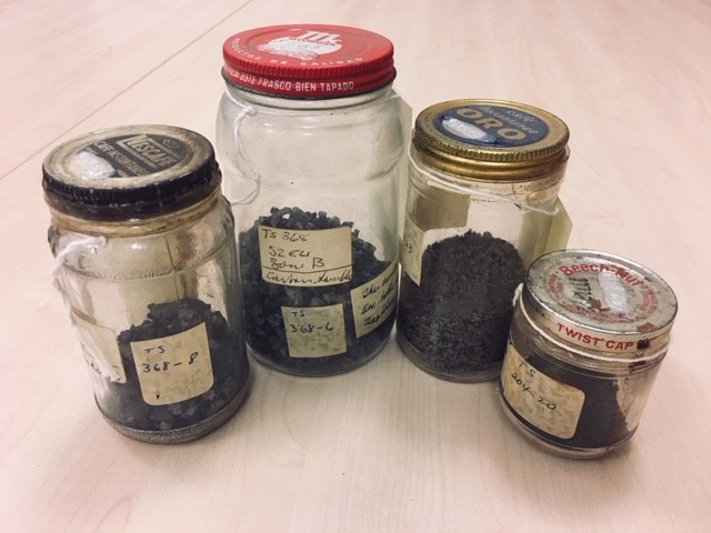 Jars of Carbon Samples from various sites in the Tehuacán Valley.