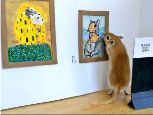 Gerbil art museum