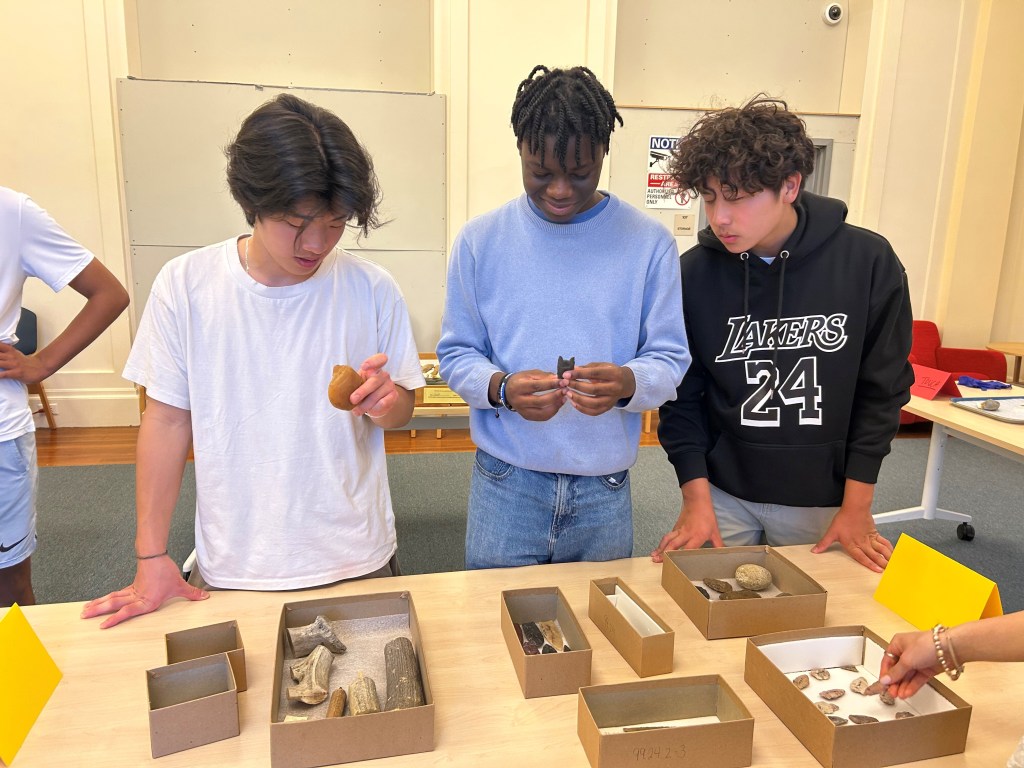 Three young men standing in a row at a table, looking at ancient collections of bone and stone.